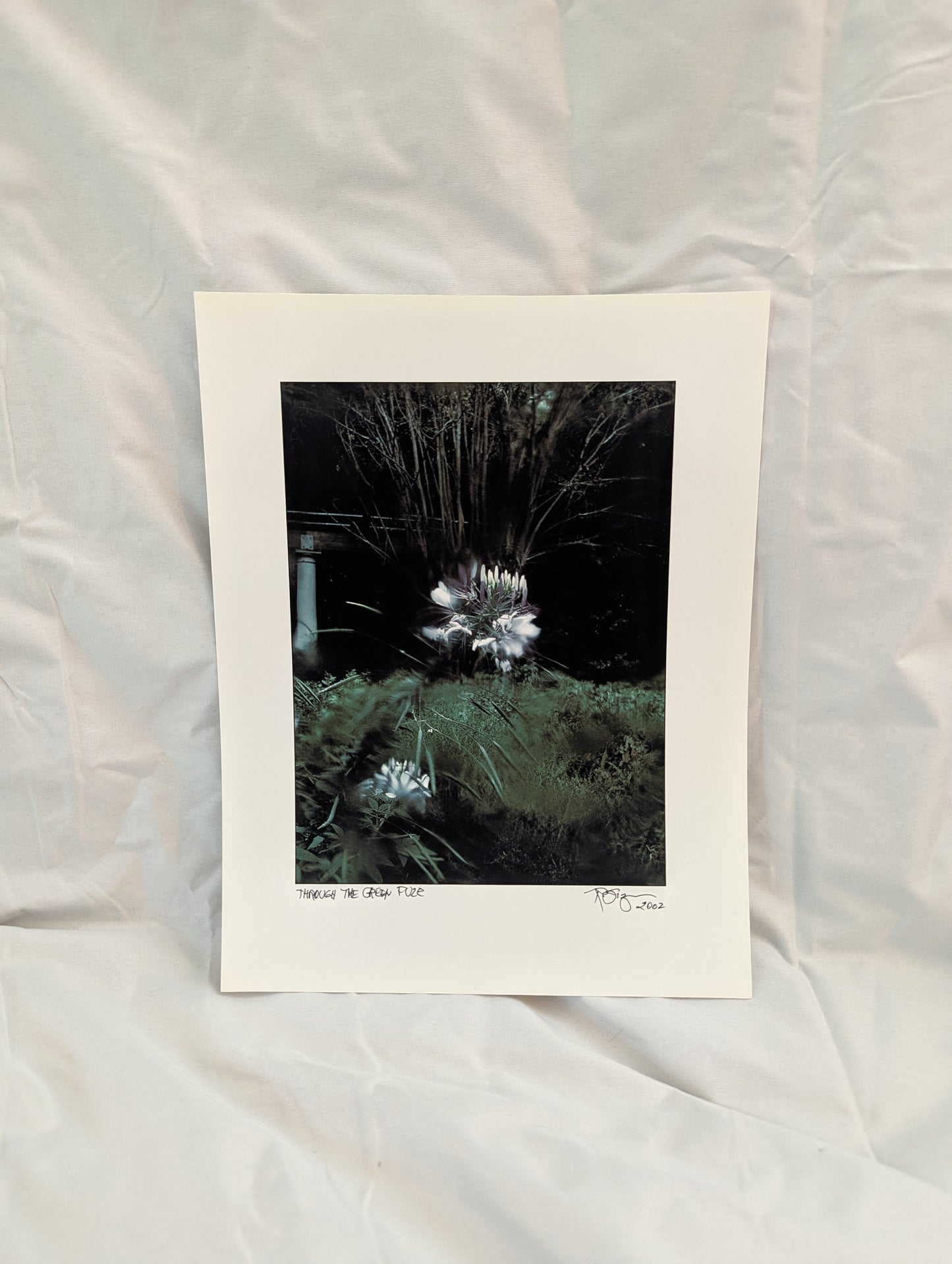 Through The Green - Signed & Dated