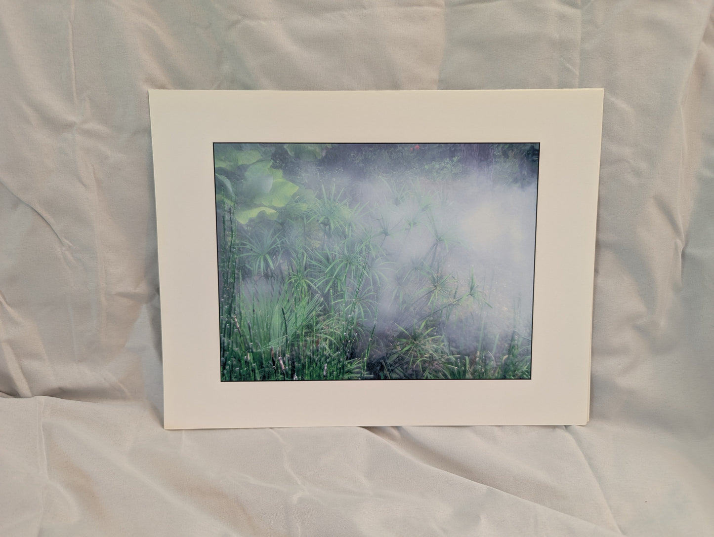 Hazy Bamboo Forest