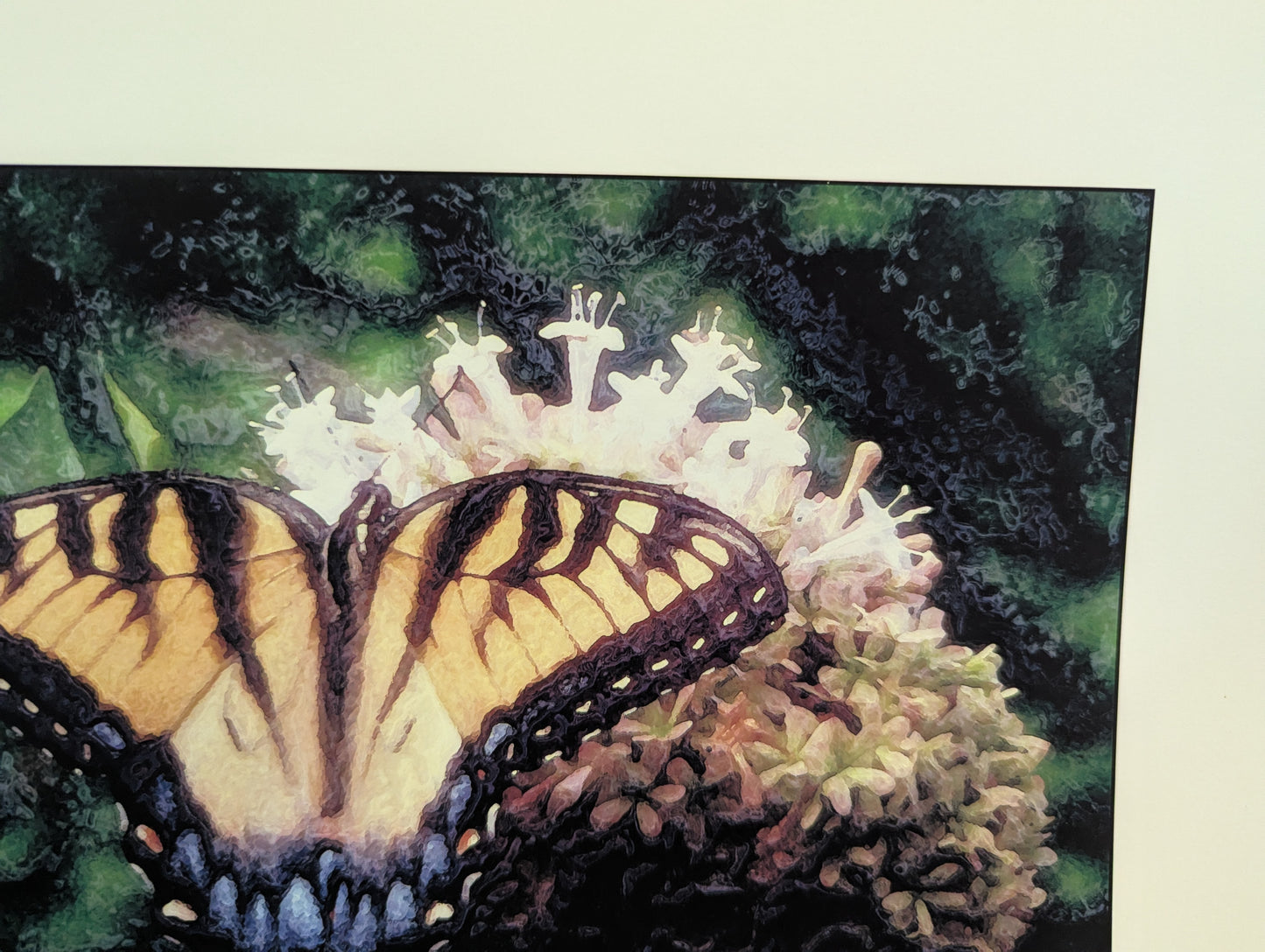 Hovering Swallowtail
