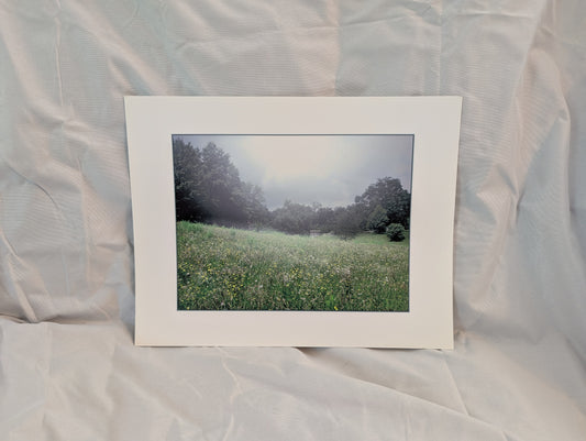 Cloudy Landscape