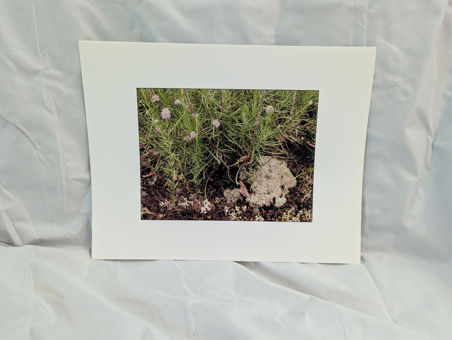 Floral Brush Off Trail