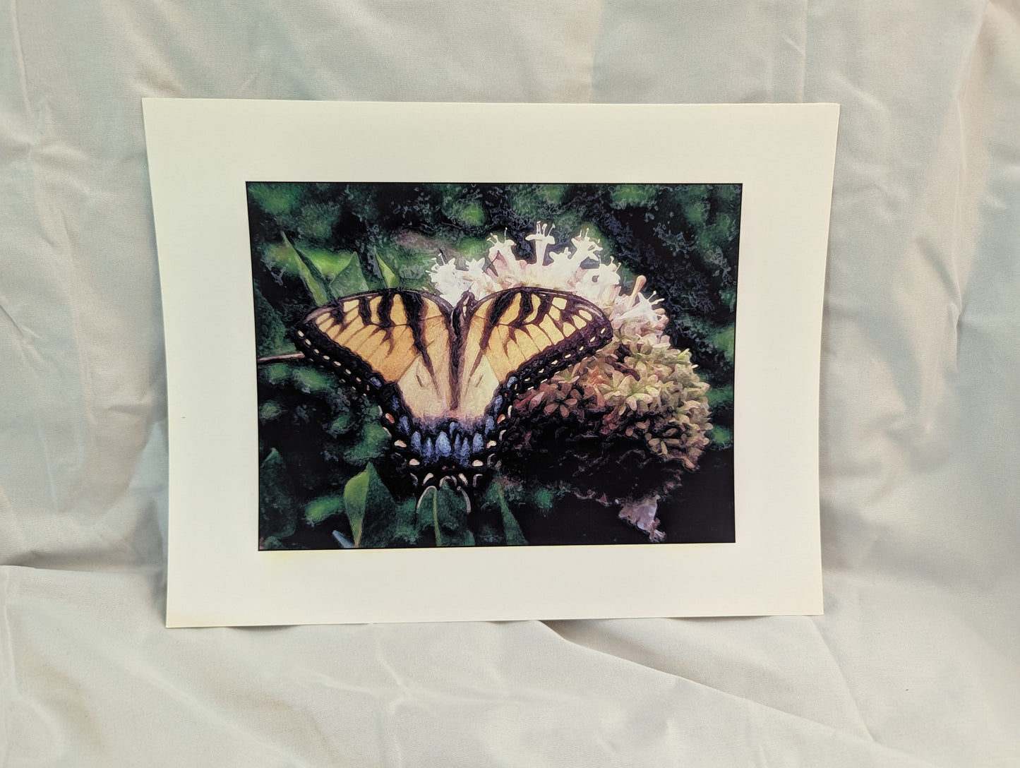 Hovering Swallowtail