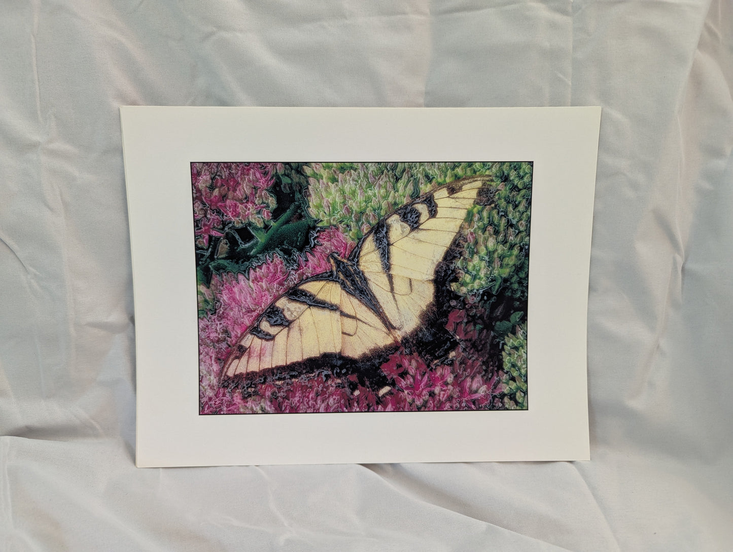 Resting Swallowtail