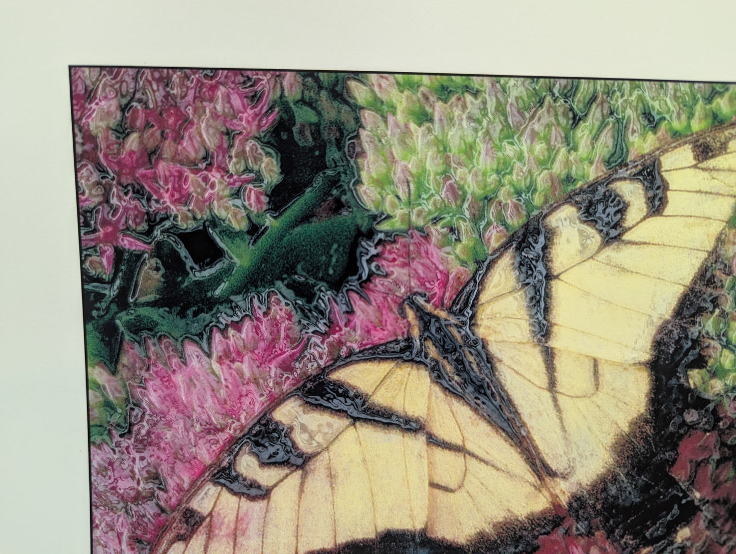Resting Swallowtail