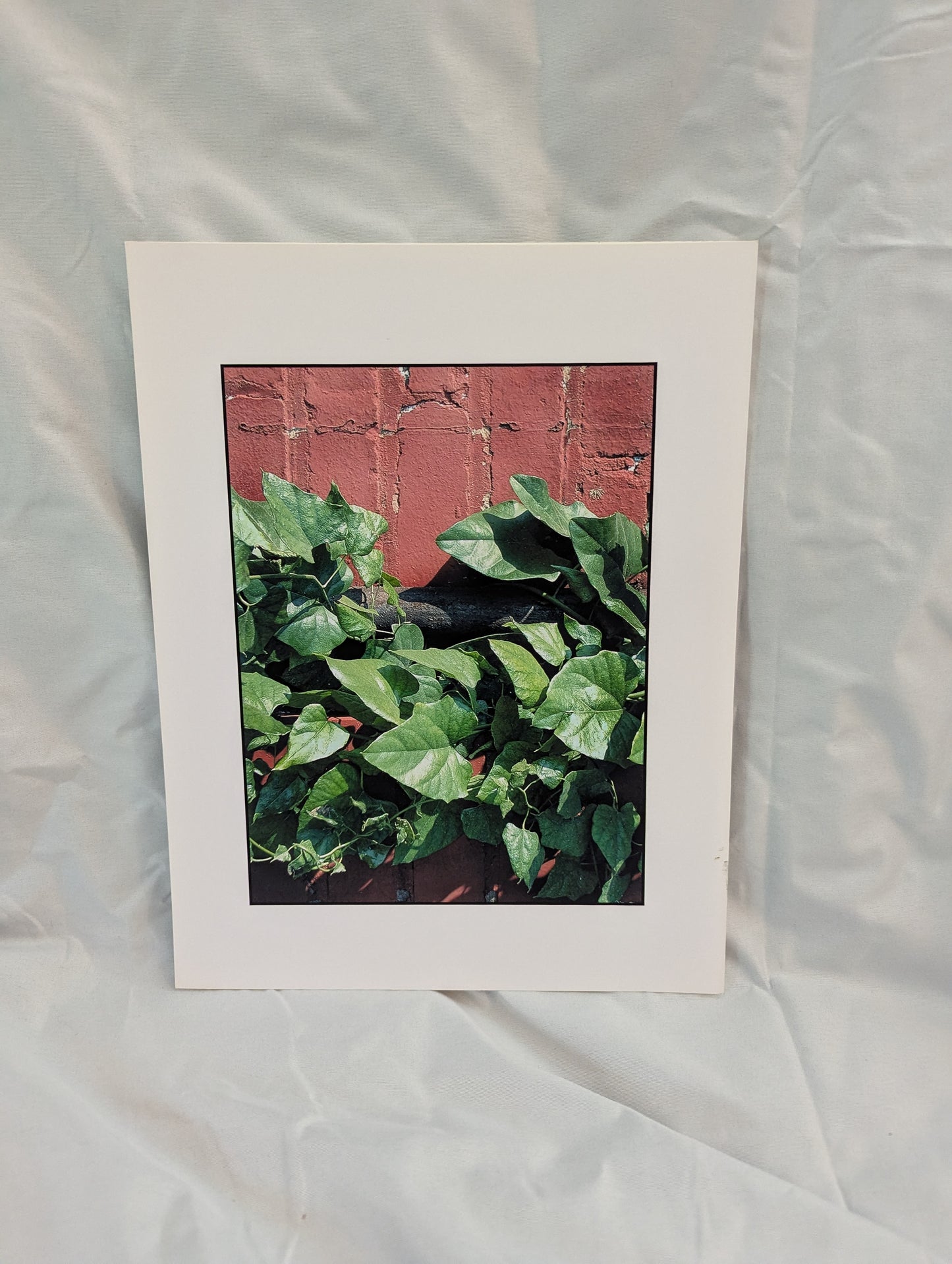 Summer Wall