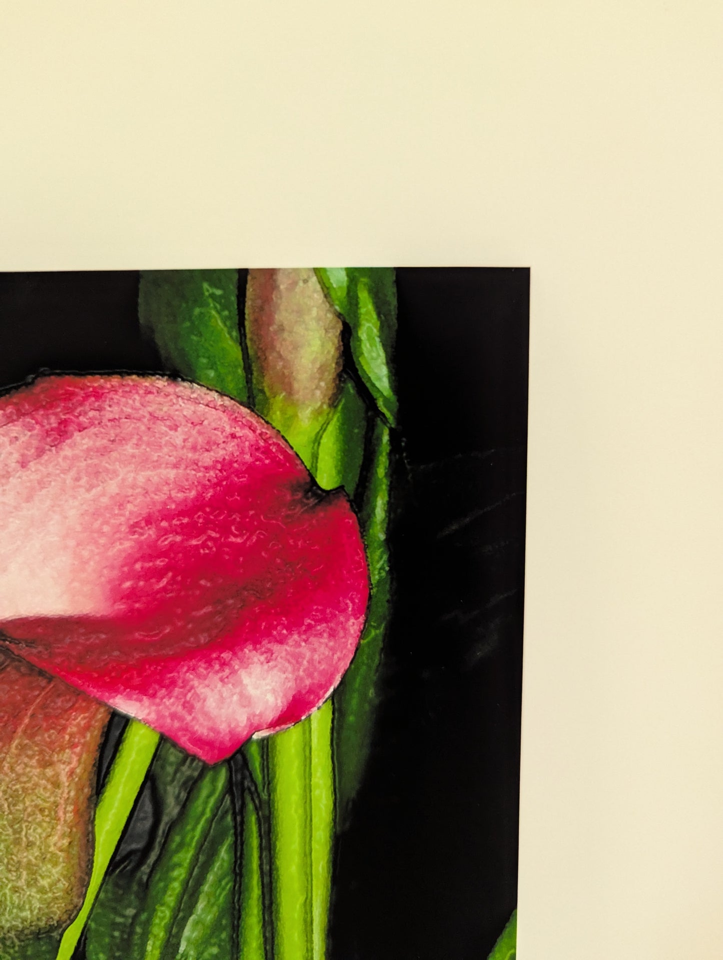 Pink Callas