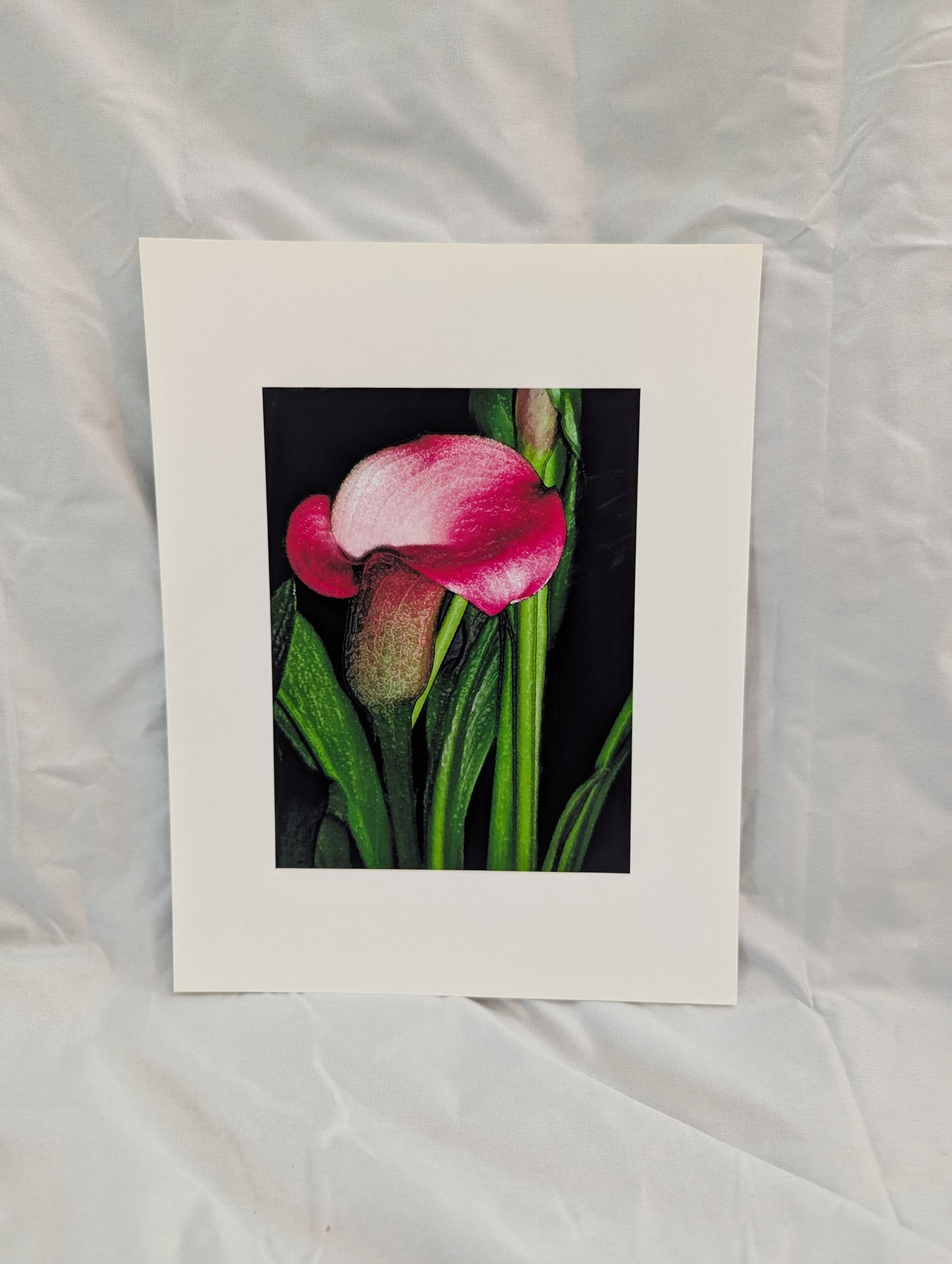 Pink Callas