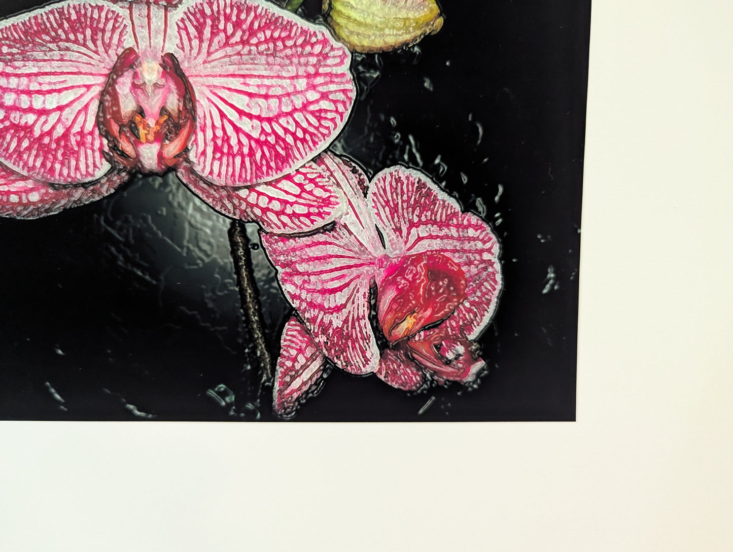 Texturized Orchids