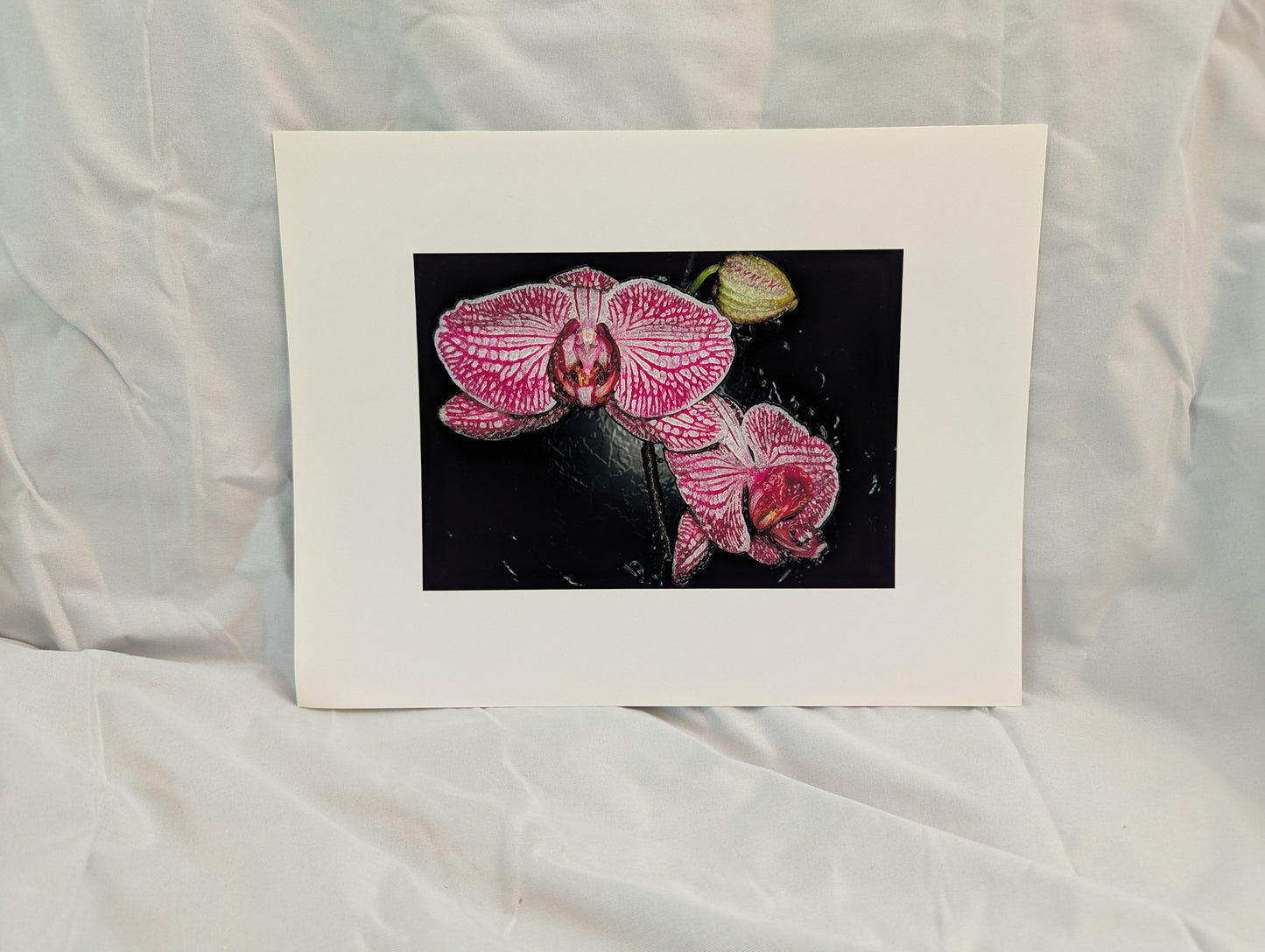 Texturized Orchids