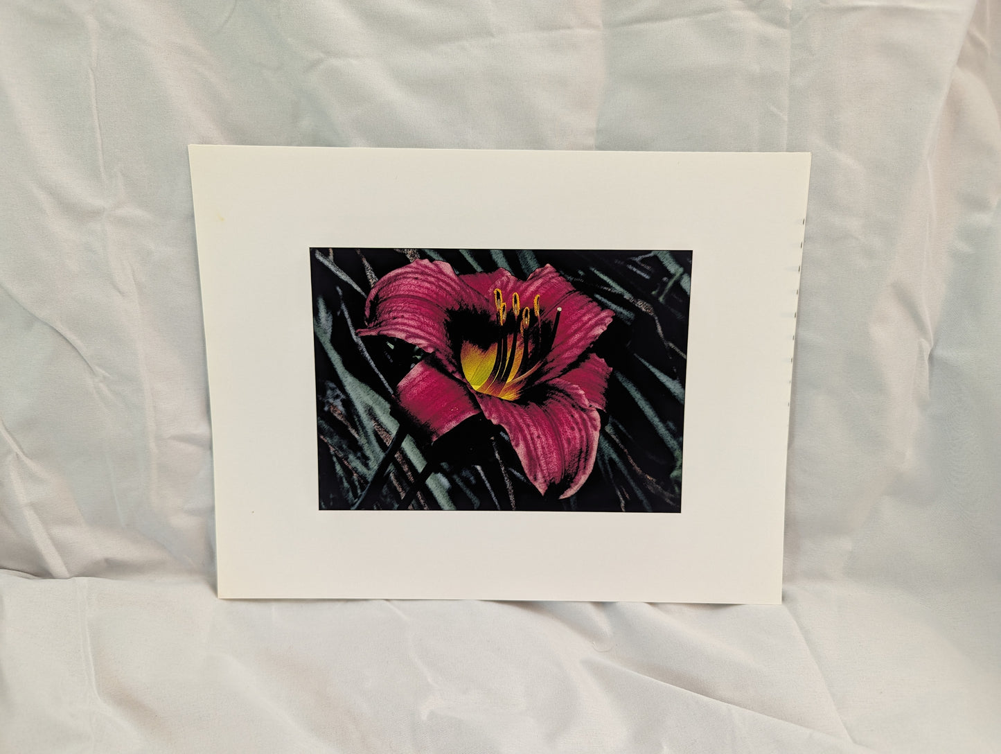 Dark Lily