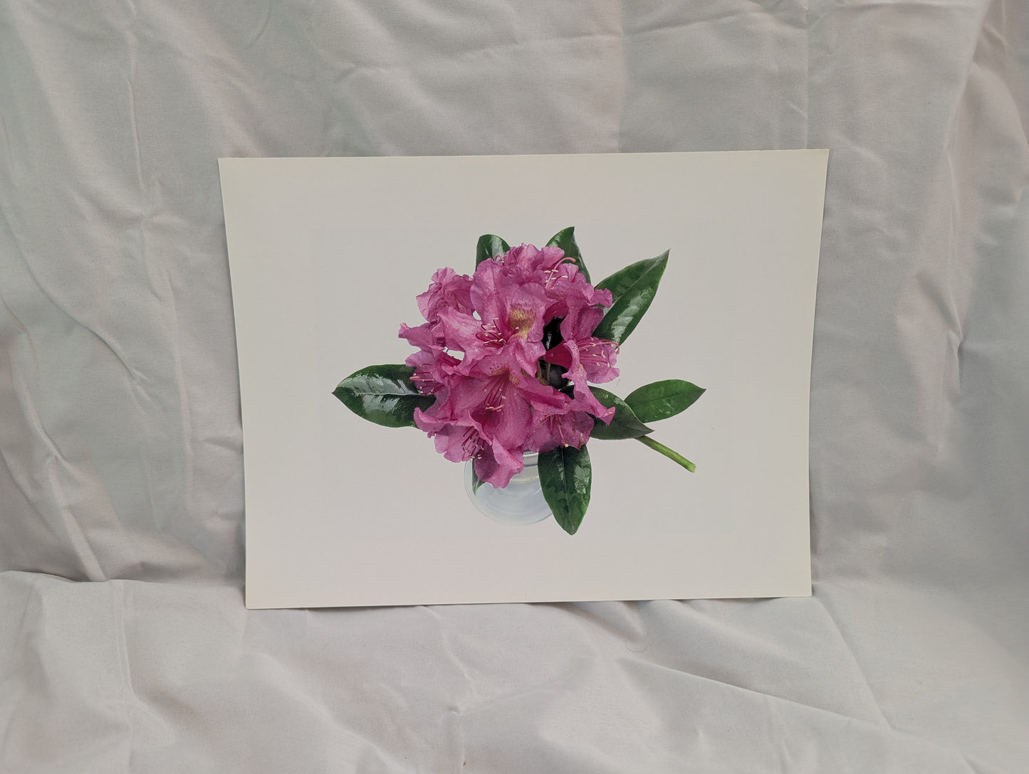 Watery Azaleas