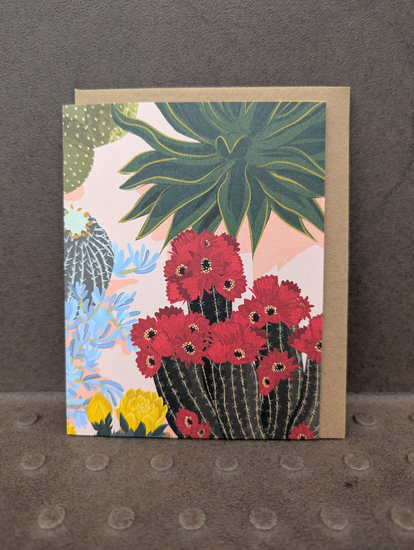 Red Cactus Flower (Rescued)