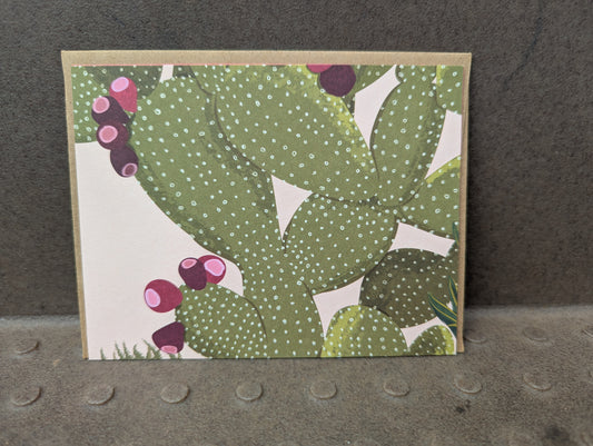 Prickly Pear (Rescued)