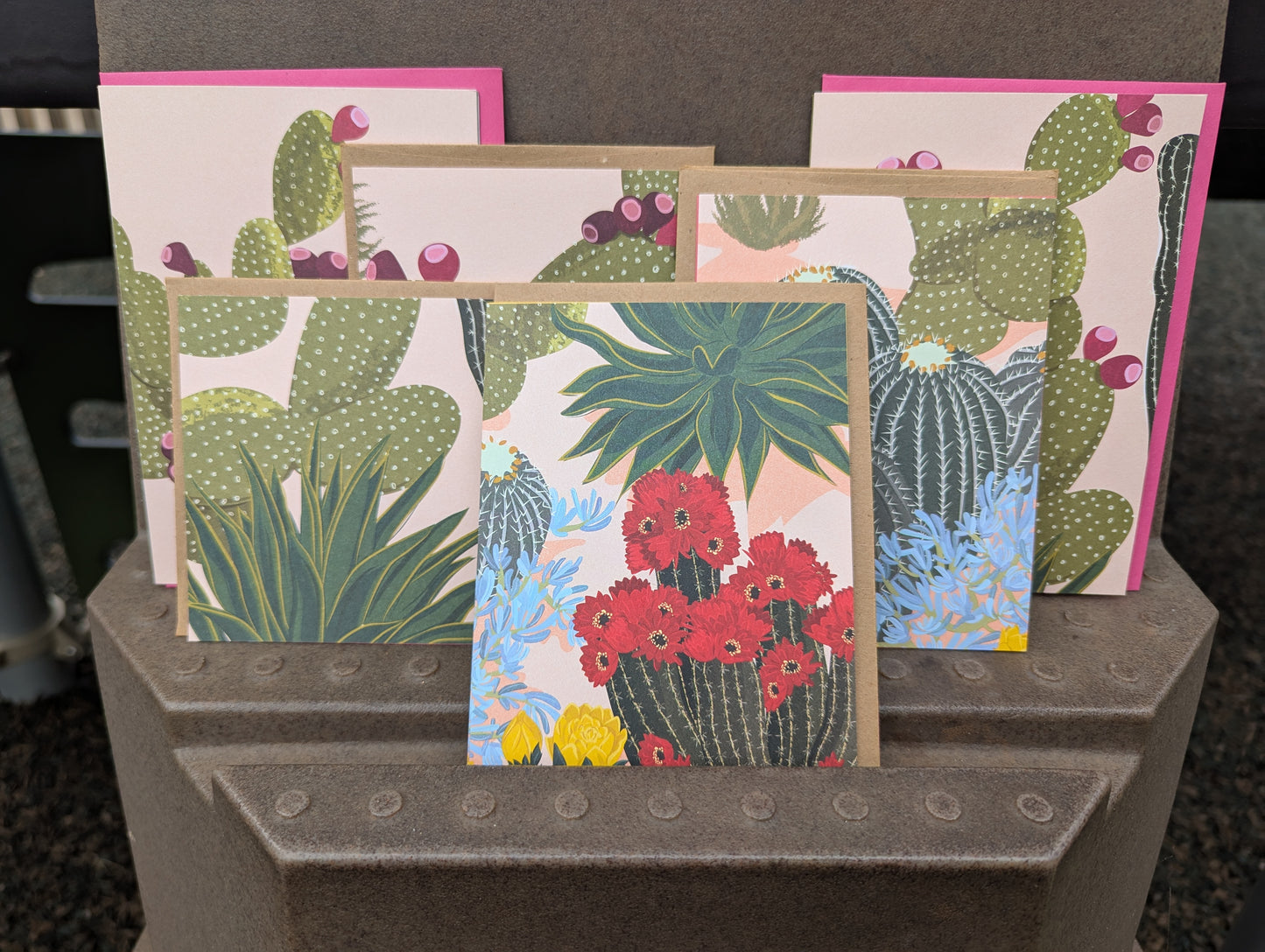Barrel Cactus with Blue Flowers (Rescued)